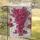 Lush Magenta Pink Bougainvillea Foliage River Pebbles Floral Home Decor Gift Garden Flag - 5