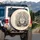 Natural History Engraved Mirrored Foxes Intertwined Flora - Wildlife Lover Gift Spare Tire Cover - 3