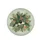 Jungle Foliage Plumeria Bird of Paradise Flowers - Everyday Decor Gift Spare Tire Cover - 4