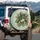 Jungle Foliage Plumeria Bird of Paradise Flowers - Everyday Decor Gift Spare Tire Cover - 3
