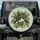 Jungle Foliage Plumeria Bird of Paradise Flowers - Everyday Decor Gift Spare Tire Cover - 1