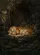 Sleeping Bengal Tiger Jungle Cave - Wildlife Lover Home Decor Gift Garden Flag - 6