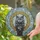 Fluffy Charcoal British Shorthair Cat Ornate Plinth Golden Filigree - Home Decor Gift for Cat Lover Stained Glass Suncatcher - 2