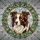 Border Collie Dog Head-and-Shoulders Portrait Leafy Vines Berries - Home Decor Gift for Dog Lover Stained Glass Suncatcher - 5