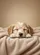 Light Tan Sleeping Puppy Plush Blanket - Home Decor Gift for Puppy Lovers Garden Flag - 6