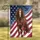 Majestic Brown Horse White Blaze American Flag Eagle - Home Decor for American Flag Lovers Garden Flag - 1