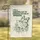 Frog Monarch Wings Activist Quote - Social Justice Advocate Gift Garden Flag - 1