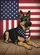 Patriotic German Shepherd American Flag - Home Decor Gift for Dog Lovers Garden Flag - 6