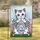 Fluffy Tabby Kitten 'Beware The Cat' Sign Wildflowers - Cat Lover Home Decor Gift Garden Flag - 1