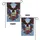 Bald Eagle Patriotic Flowers 1776-2026 - America's 250th Anniversary Garden Flag - 4