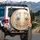 Symmetrical Tulip Golden Leaf Pearl Floral Arrangement Luxury Vehicle Decor Spare Tire Cover - 3