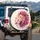Lion Head Dahlia Floral Wildlife Lover Travel Gift Spare Tire Cover - 3