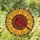 Red Cardinal Sunflower Seed Head Petals - Bird Lover Home Decor Gift Stained Glass Suncatcher - 1
