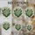 Lily-of-the-Valley Tiffany Stained Glass - Jewel Tone Green Leaf Floral Decor Gift Stained Glass Suncatcher - 4