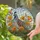 California Quail Poppies Tiffany Stained Glass - Intricate Mosaic Jewel Tone Art Stained Glass Suncatcher - 2