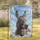 Photorealistic Donkey Welcome Clouds - Home Decor Gift for Donkey Lover Garden Flag - 1