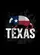 Texas Armadillo Texas Flag 'TEXAS' Letters - Home Decor Gift for Texas Fan Garden Flag - 6