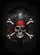 Menacing Pirate Skull Crossbones - Home Decor Gift for Pirate Lover Garden Flag - 6