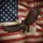 Majestic Bald Eagle Weathered American Flag Independence Day Celebration Gift for Veterans Spare Tire Cover - 6
