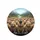Capybaras River Forest Hills Mountains Rustic Buildings - Wildlife Lover Gift Spare Tire Cover - 4