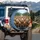 Capybaras River Forest Hills Mountains Rustic Buildings - Wildlife Lover Gift Spare Tire Cover - 3