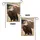Bald Eagle American Flag 250th Anniversary 1776-2026 - Independence Day Patriotic Decor Garden Flag - 4
