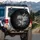 Intense Powerful Black White Snow Leopards Roaring Rugged Jungle - Wildlife Lover Gift Spare Tire Cover - 3