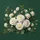 Creamy White Garden Roses Emerald Green Foliage - Home Decor Gift for Nature Lovers Spare Tire Cover - 6
