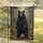Black Bear Rocky River Stones Autumn Leaves Forest Trees - Wildlife Lover Home Decor Gift Garden Flag - 5
