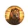 Majestic Male Lion Golden Savanna Sunset Acacia Trees African Landscape - Wildlife Lover Gift Spare Tire Cover - 4