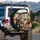 French Bulldog Crew Car Interior - Road Trip Adventure Dog Lover Gift Spare Tire Cover - 3