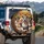 Five Cheerful Pitbull Dogs Autumn Road Landscape - Pitbull Lover Gift for Drivers Spare Tire Cover - 3