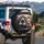 Fluffy Poodle Light Brown Puppies Driving Interior Car Scene - Dog Lover Gift for Pet Owners Spare Tire Cover - 3