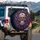 Sugar Skull Calavera Floral Vines - Day of the Dead Outdoor Car Accessory Gift Spare Tire Cover - 3