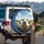 Comical Expressive Sheep Rolling Hills Sunlit Sky Clouds - Animal Lover Journey Gift Spare Tire Cover - 3