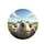 Comical Expressive Sheep Rolling Hills Sunlit Sky Clouds - Animal Lover Journey Gift Spare Tire Cover - 4