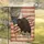 Bald Eagle American Flag 1776-2026 - USA 250th Anniversary Independence Day Garden Flag - 5