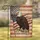 Bald Eagle American Flag 1776-2026 - USA 250th Anniversary Independence Day Garden Flag - 1