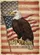 Bald Eagle American Flag 1776-2026 - USA 250th Anniversary Independence Day Garden Flag - 6