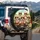 Five Sunglass Cats Driving Car - Road Trip Adventure Cat Lover Gift Spare Tire Cover - 3