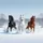 Three Galloping Horses Snow Landscape - Equestrian Winter Wildlife Lover Gift Spare Tire Cover - 6