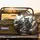 Fluffy Raccoon Driving Steering Wheel Car Cabin - Wildlife Road Trip Gift Spare Tire Cover - 2