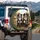 Bernese Mountain Dogs Car Ride Red Bow Heart Tag Sunglasses - Dog Lover Gift Spare Tire Cover - 3