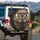 Lively Schnauzer Dog Group Luxurious Interior - Road Trip Enthusiast Gift Spare Tire Cover - 3