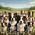 Happy Border Collies Rolling Green Hills Country Road Dog Lover Gift Spare Tire Cover - 6