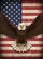 Bald Eagle American Flag Independence Day Gift for Veterans Garden Flag - 6