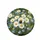 Large Pristine White Daisies Bright Yellow Centers Sky-Blue Forget-Me-Nots Green Foliage - Nature Lover Gift Spare Tire Cover - 4
