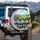 Miniature Schnauzers Rolling Hills Landscape - Dog Lover Travel Gift Spare Tire Cover - 3