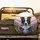 Border Collie Lavender Field Flowers - Dog Lover Home Decor Gift Spare Tire Cover - 2
