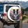 Border Collie Lavender Field Flowers - Dog Lover Home Decor Gift Spare Tire Cover - 3